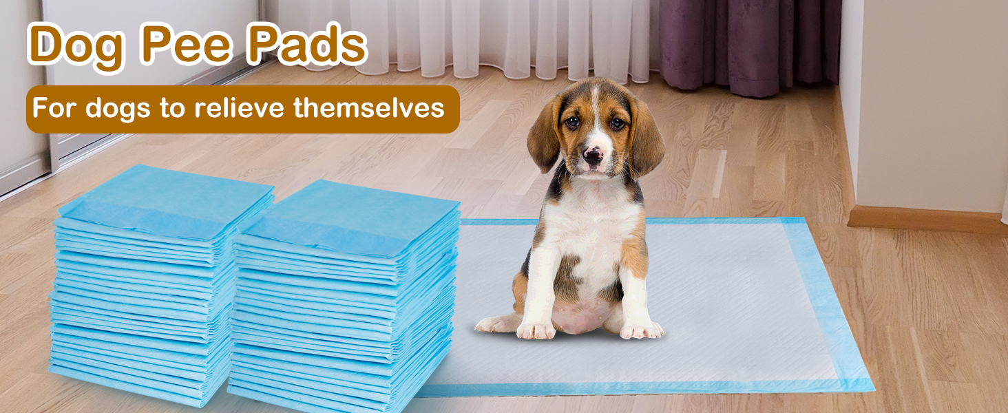 Dog Pee Pads