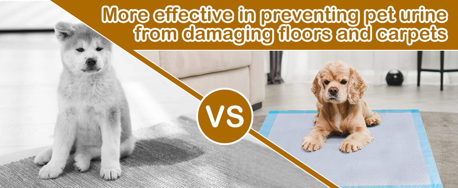 Dog Pee Pads
